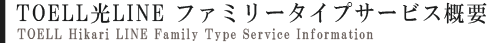 TOELL光LINE ファミリータイプ サービス概要